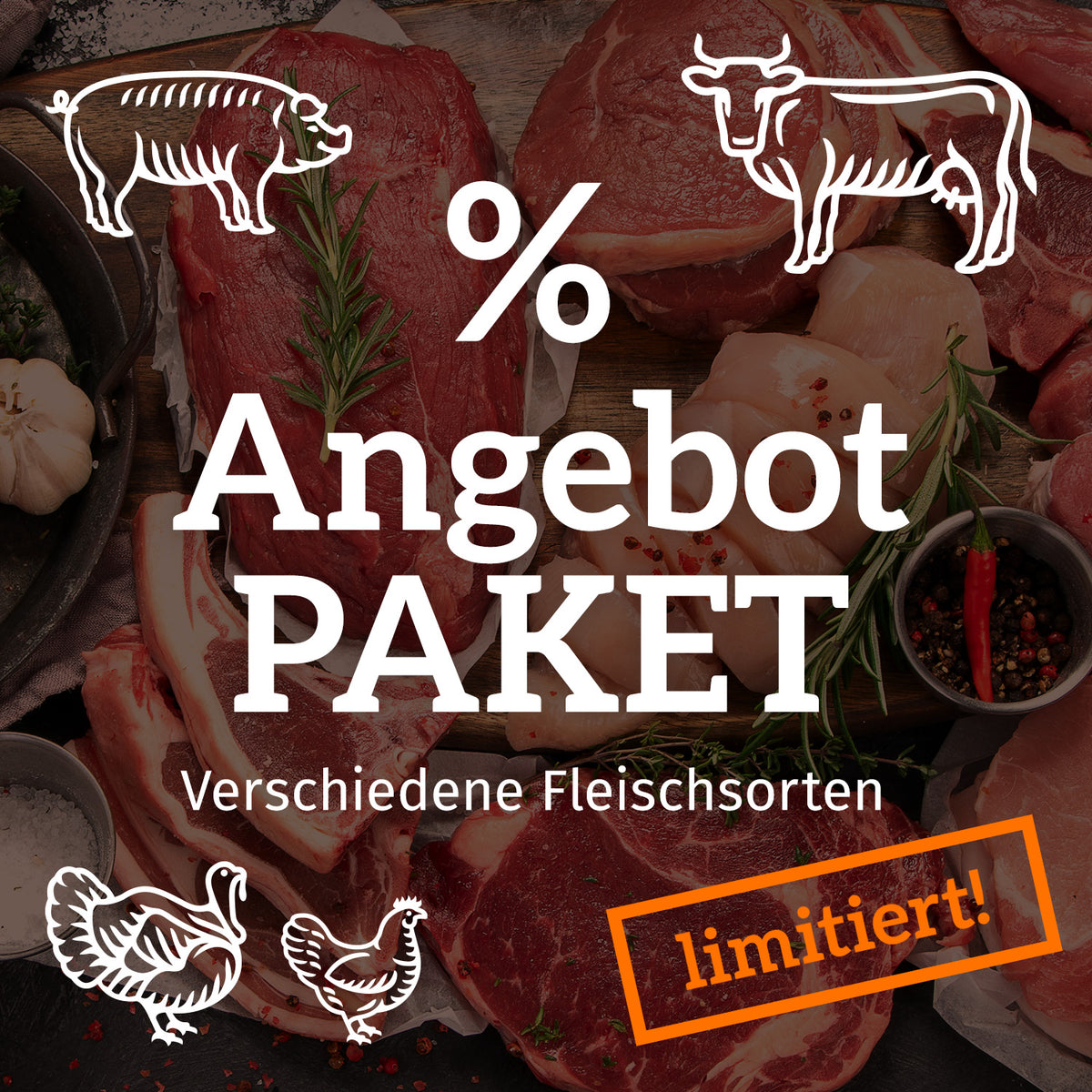 Angebots-Paket 02 Wintergriller / Abholung am 06.+07.11.2026