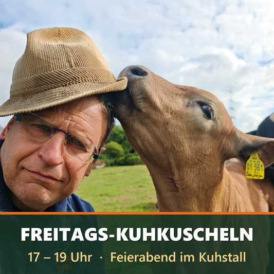 Freitags-Kuhkuscheln 17–19 Uhr auf dem Bauernhof Sagel