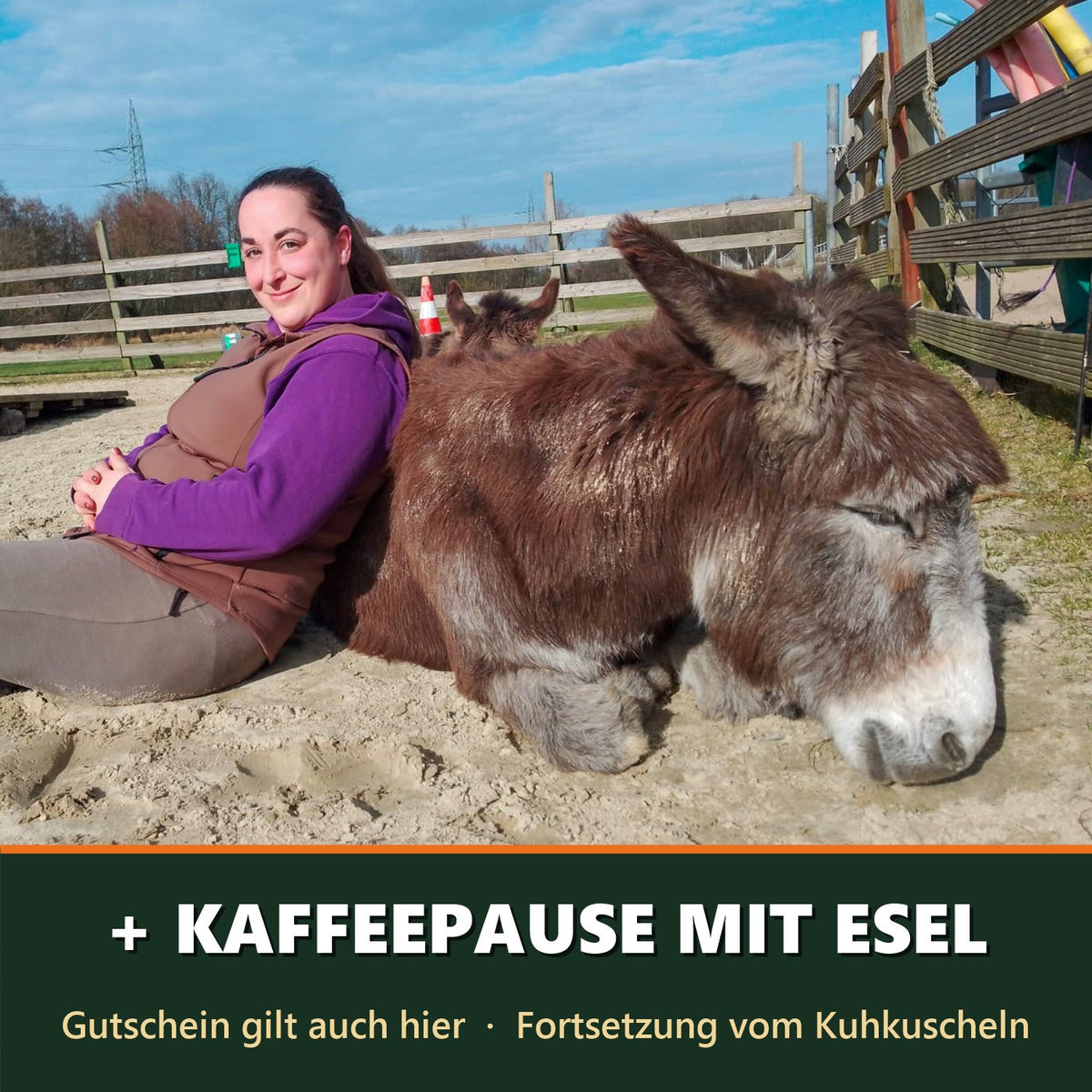 Gilt auch für die Kaffeepause mit Esel – die Fortsetzung vom Kuhkuscheln