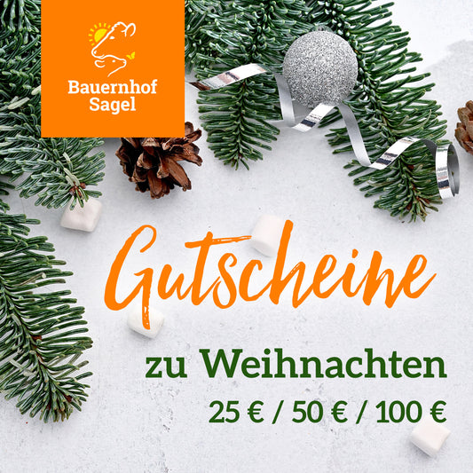 ONLINE-Geschenkgutschein 25€ / 50€ / 100€