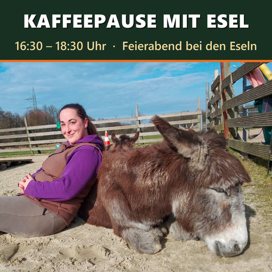 Kaffeepause mit Esel 16:30 – 18:30 Uhr · Feierabend bei den Eseln
