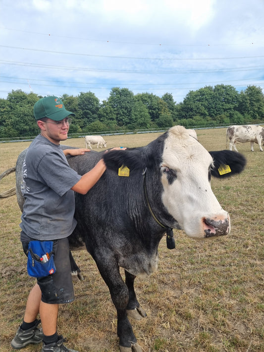 Februar Kuhkuscheln 28.02.2027 / 14-16:00 Uhr