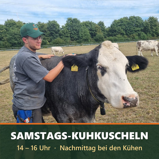 Samstags-Kuhkuscheln 14–16 Uhr auf dem Bauernhof Sagel