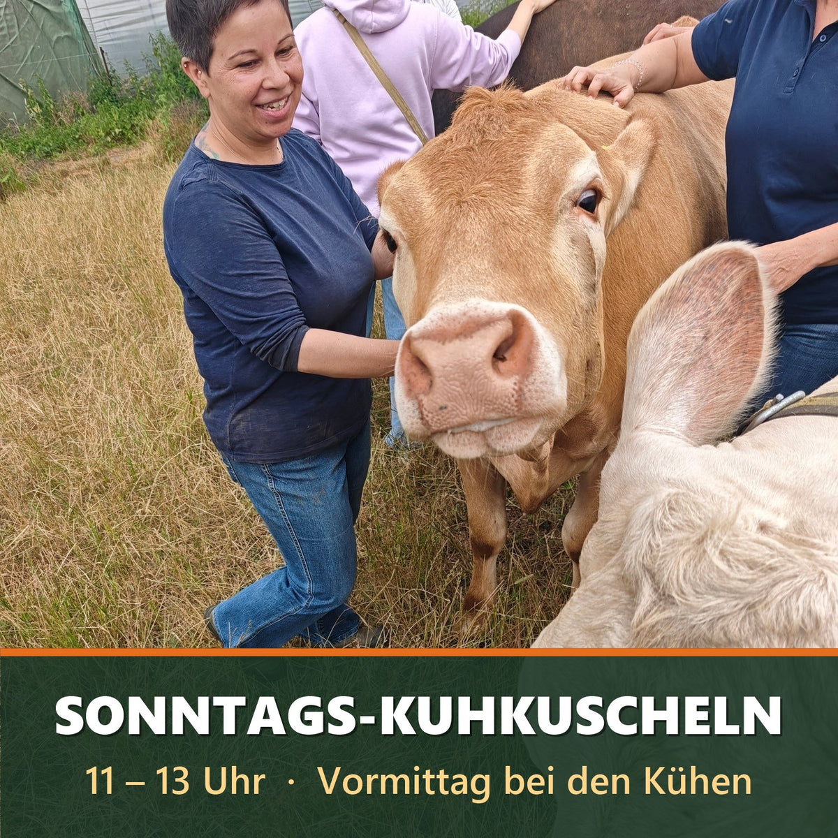 Sonntags-Kuhkuscheln 11–13 Uhr auf dem Bauernhof Sagel
