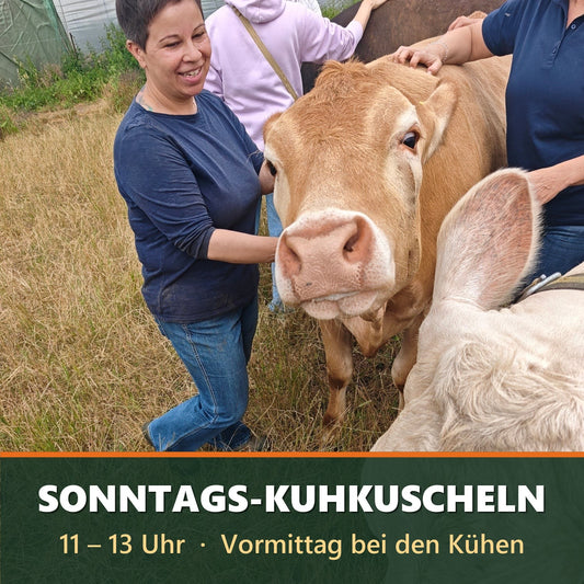 Sonntags-Kuhkuscheln 11–13 Uhr auf dem Bauernhof Sagel