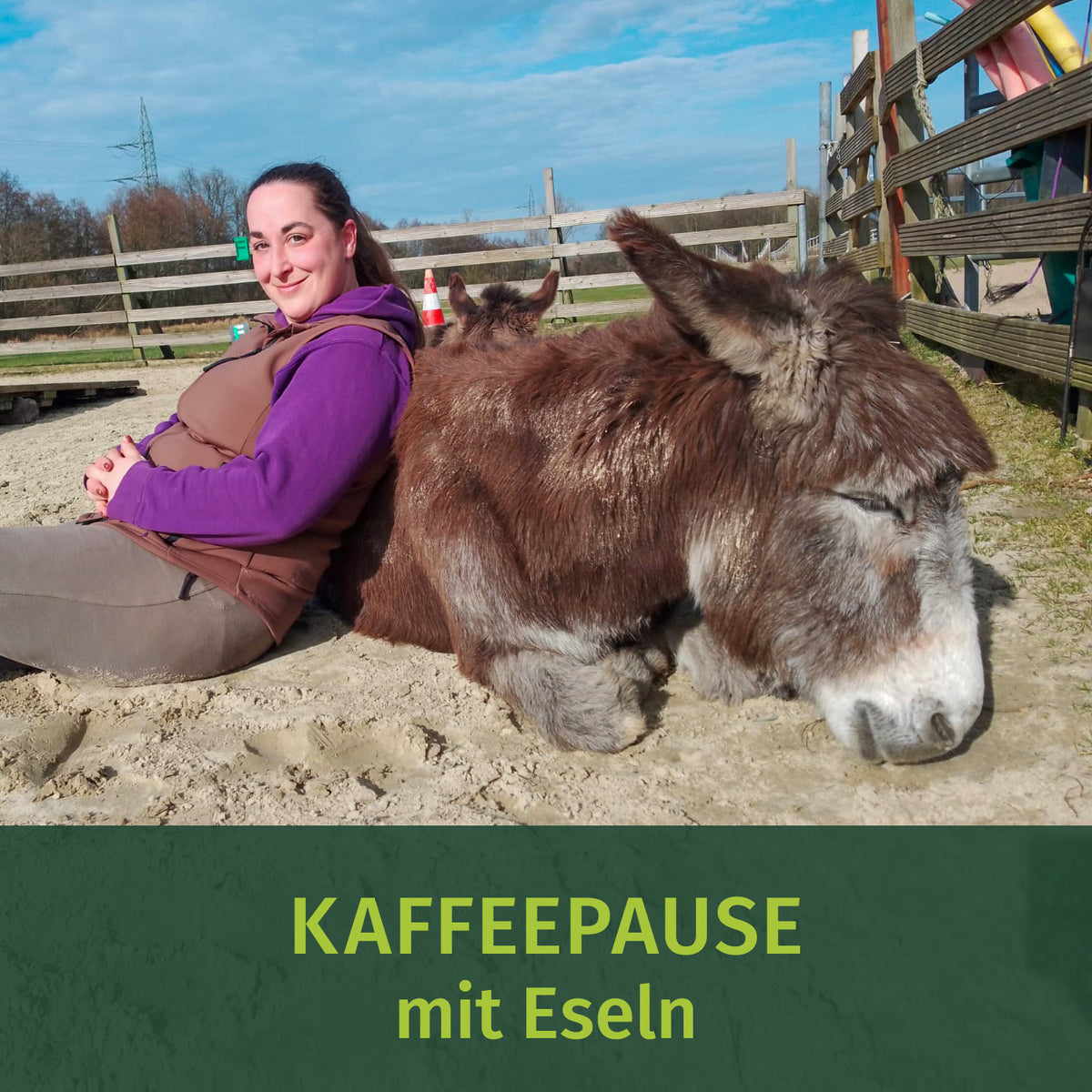 Kaffeepause mit Esel + Eselkuscheln 25.10.2026 / 15:30-17:30 Uhr
